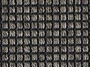 Charcoal by Stanton Carpet