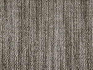 Grey by Stanton Carpet