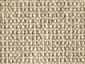 Sandbar by Stanton Carpet