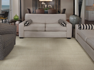 Gobi by Antrim Carpet