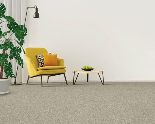 Pet, Kid Friendly, Water Proof Carpet and Rugs