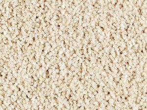 Natural Refinement by Mohawk Carpet