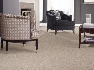 mohawk-carpet-perfect-attraction