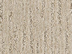 cheetah-carpet-shaw-philadelphia