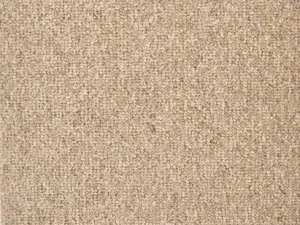 Saratoga_Dakota_Tan Stanton Carpet