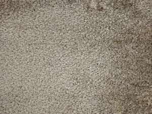 Shaggy_Swag-Grain Stanton Carpet