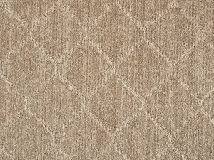 Synthesis_Sandstone Stanton Carpet