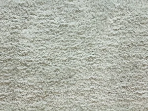 shaggy posh_mineral Stanton Carpet