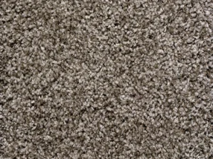 shaggyluxe-pebble Stanton Carpet