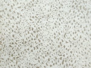 Menagerie-Authentic-kane carpet