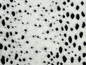 Panthera-Leo-photo-kane carpet