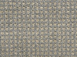 Alpha-Delta-by-Masland-Carpet