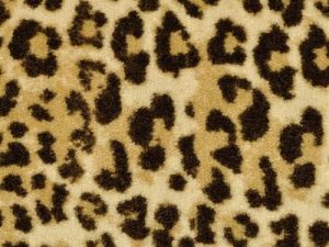 Leopard-Big-Cat-by-Masland-Carpet