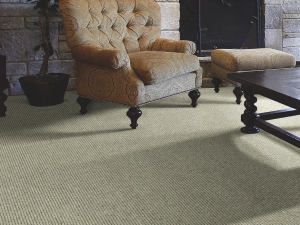 Beaucoup by Masland Carpet