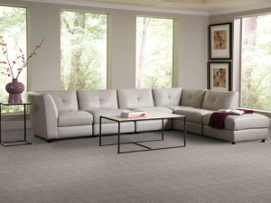 Meandros by Masland Carpet