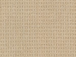 Winslow-Casa-Grande-by-Masland-Carpet
