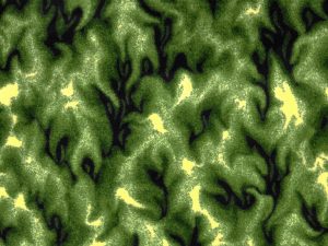 Inferno-03-Green-Joy-Carpets