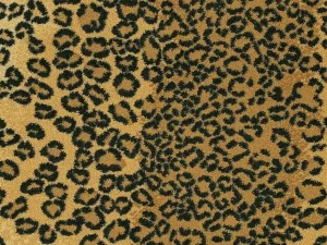 leopard-couristan-carpet cape town