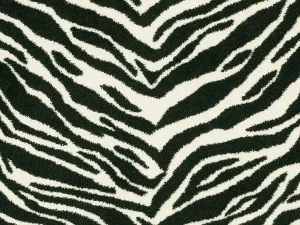 Zebra Animal Print Couristan Carpet