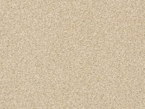 Shaw Floors - COMFORTING II by Shaw Floors - Sesame Seed