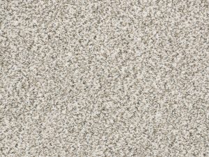 Shaw Floors - MASTERS TOUCH (F) by Shaw Floors - Quartz