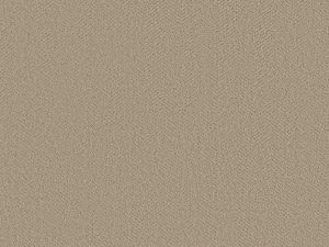 Shaw Floors - HIGHLAND TWILL by Shaw Floors - Twine