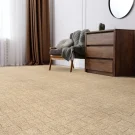 Bradenton-Stanton-Carpet