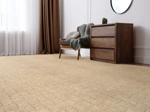 Bradenton-Stanton-Carpet