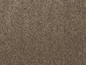 Quest-Plush-Coco-Stanton-Carpet