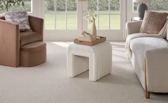 luxury carpet- nourison carpet